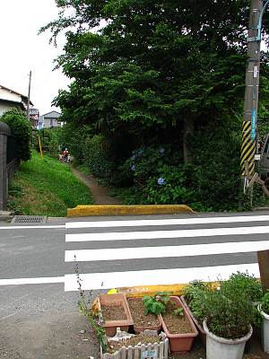 ��¼�� �ŵ�����