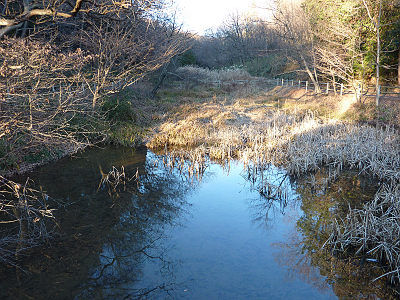 ϻ��¢�᤯�μ���