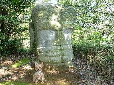 大多羅法師(ダイダラボッチ)と犬