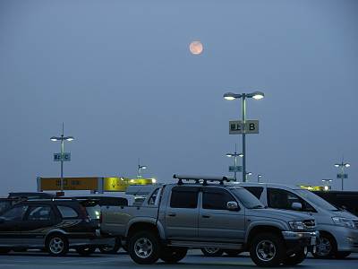 THE�⡼�롦�ߤ���16�Ǹ���������(COOLPIX L5����)