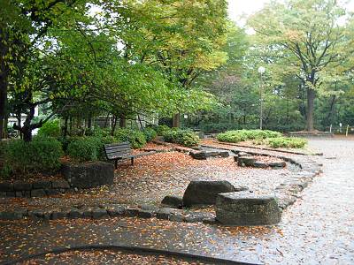 ���������������ο�ϩ