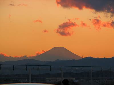 THE MALL�ߤ���16������ٻλ�����4