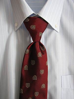 ������ӥ��ѥͥ����� ������