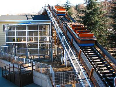 �����ĥ�����ưʪ���������ɴͧ˷�ˤ��ä��Τ�ͷ��ʪ