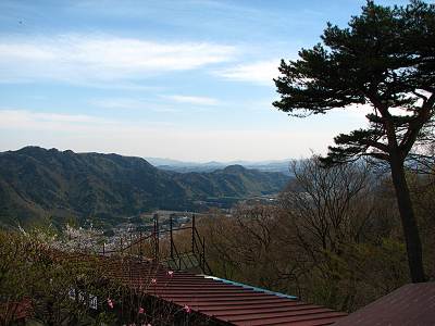 �ݻ������į˾