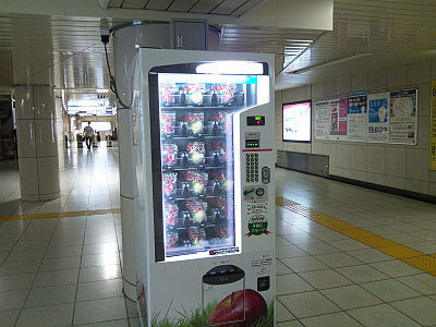 ����ؤˤ����󥴤����䵡