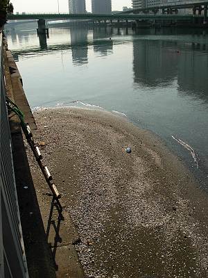 ���ͱ��Ϥ��������Ƭ���᤯�κ���