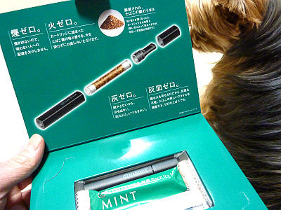 ゼロスタイルミント試供品