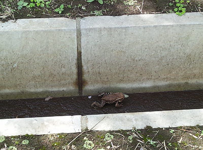 �����Ŀ�ϩĴ���ӤΥ�����