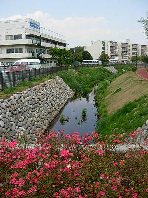 �����޿ƿ幭��