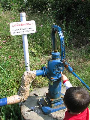 ���������餮����ˤ���ͯ����