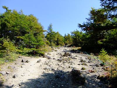 ���û��ؤ��Ф�ƻ(ɽ������)