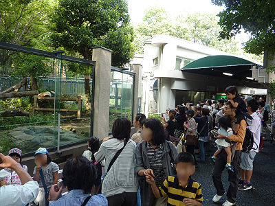 ����ưʪ��Υѥ��