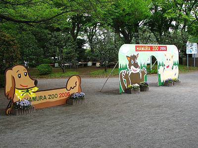 ��¼��ưʪ����μ̿������ѥѥͥ�