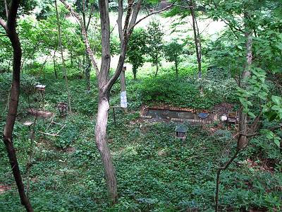 ��̸��������ͤ�����Τդ줢����Τ���󥿡��Х륳�ˡ�����