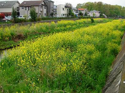 ������κڤβ֡�