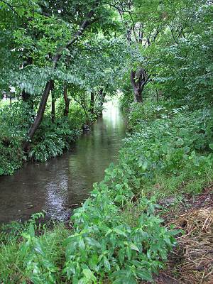 �������������ϰ�