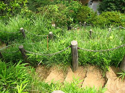 ��Ȩ���ٻ� �л�ƻ