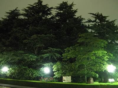 �ʤ󤸤��󤸤����