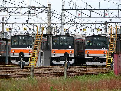 ������żִ��Ϥ��ż�(����)