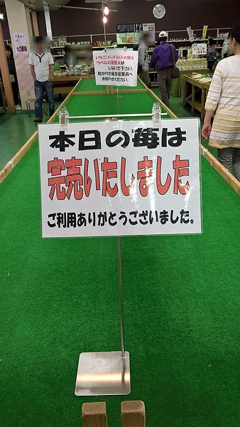 イチゴ完売