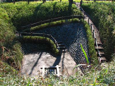 ���߿�Į������