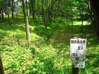 �������ؤؤ�Ω������ػ�