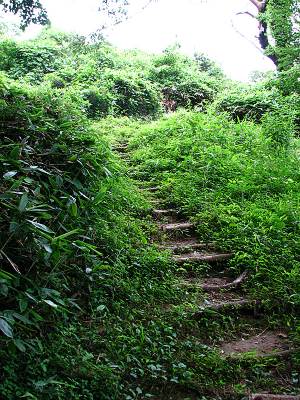 �����ٻ��л�ƻ