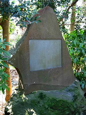 �������ӻҤβ���