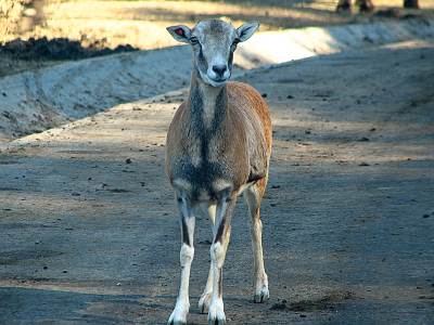 ���ϥ��ե���ѡ����Υ�ե���