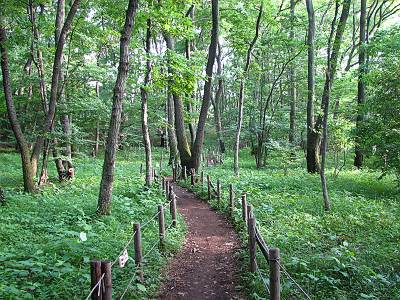 ������Τ���������ϰ�