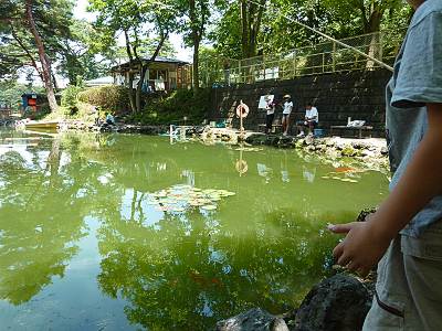 宮沢湖の金魚釣り