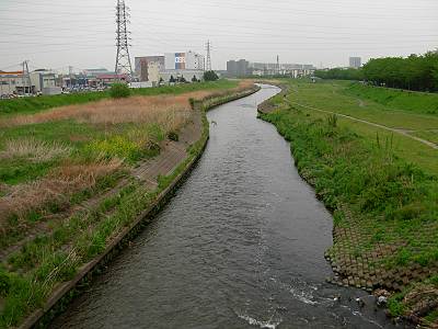 �դ줢�������鲼ή