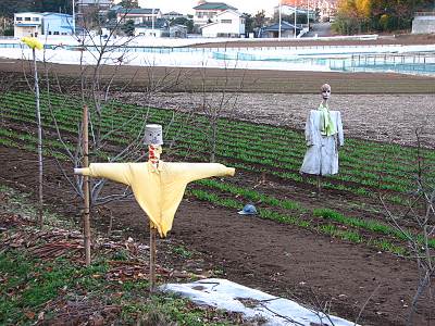 �������꡼�󥻥󥿡����ΰƻ���