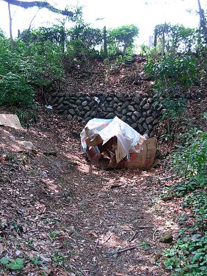 �����������δ�����