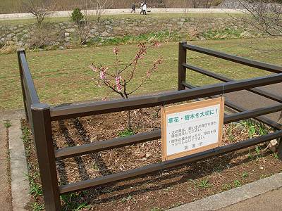 �⻳���᤯�θ����ʲ��ź���