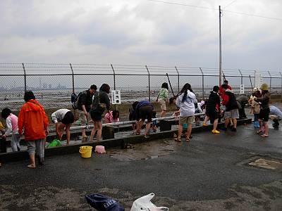 �ڹ��ų���Ĭ������­������