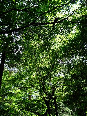 ���ξ夫��λ���