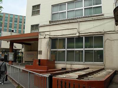 ��������̵���ʤä���ϩ����������