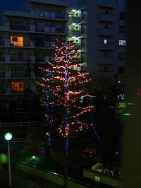 �������̸� ���Ե��±��Υ���ߥ͡������