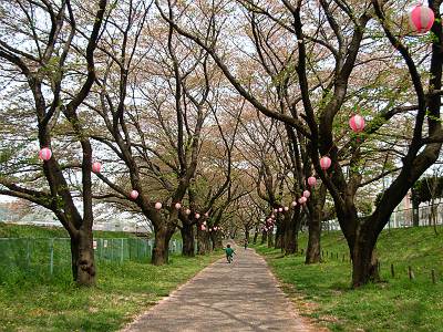 ���褻������ޤĤ���