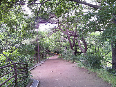 ���Ĺ���ڼ�