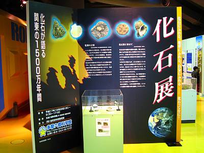 ¿��ϻ�Բʳش� ����Ÿ