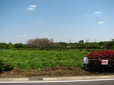 �����ԤΤ���Ȫ���դ���ֶػ�