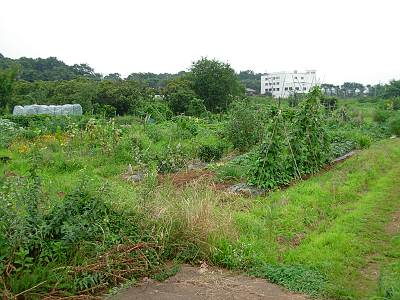 ������Ĵ����ͽ���Ϥ�����ʪ