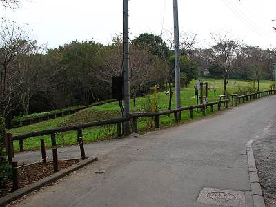 ϻƻ������ι���ΰ��