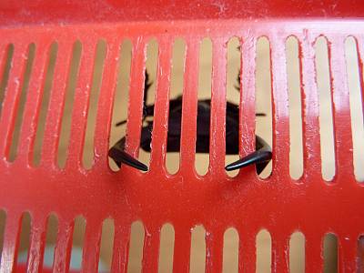 �������塞�� ��������Ǥޤ�������