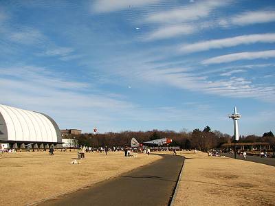 �����Ҷ���ǰ����(2006/1/15)