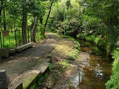 �����ή�᤯