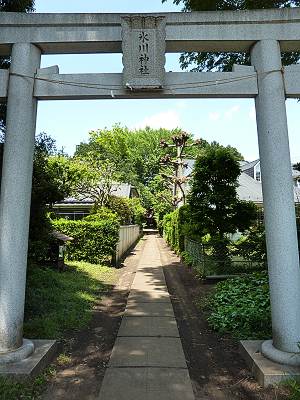 ������ɹ�����1